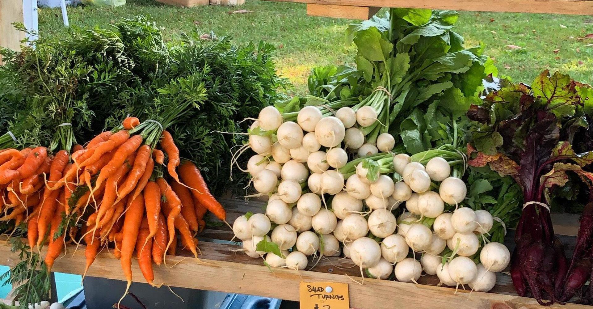 CopperHawk Farms