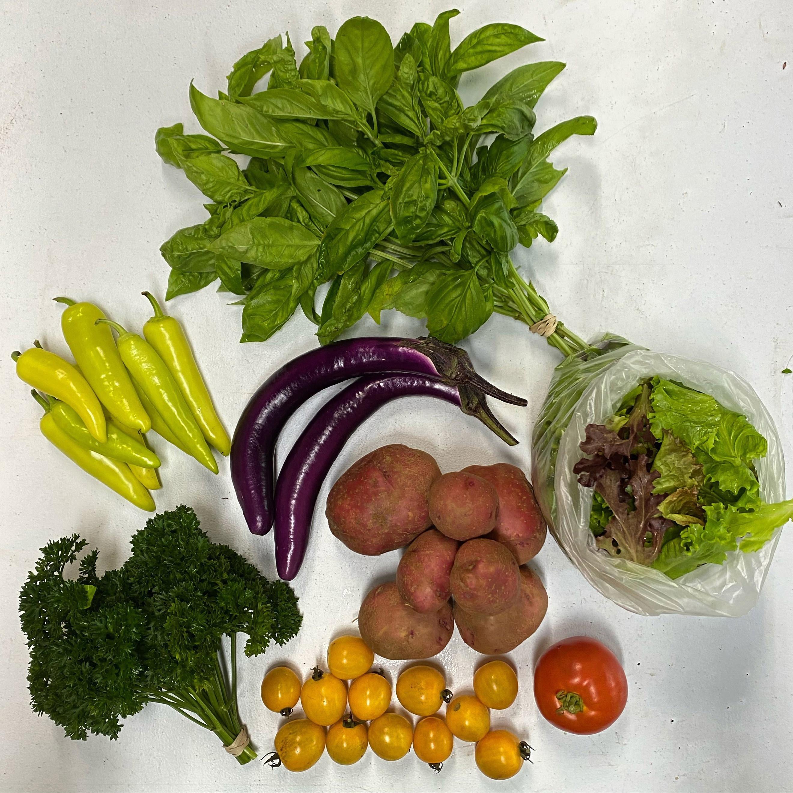 Salad Bag