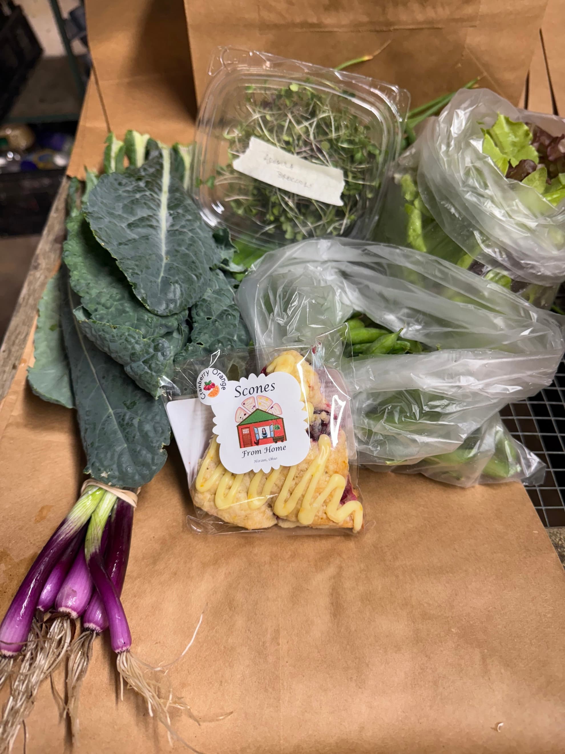 Salad Bag